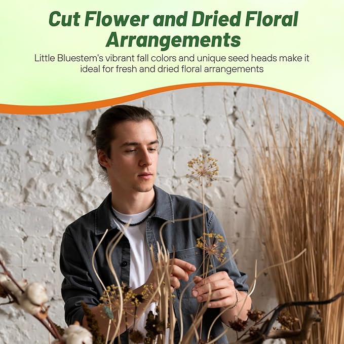 Outsidepride Perennial Little Bluestem Grass Seed - 5 lbs. Warm Season, Drought Resistant, Long-Lived Native Prairie Grass Seed, Ideal for Erosion Control, Ornamental Landscaping & Wildlife Gardens