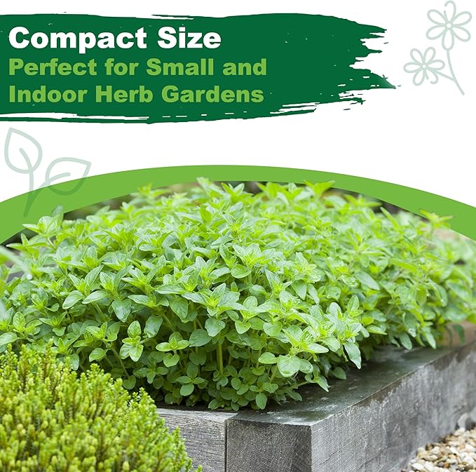 TKE Farms & Gardens - Oregano Seeds for Planting, 3000+ Non-GMO Heirloom Seeds, 500mg, Open Pollinated Perennial Herb, Origanum vulgare, for Indoor & Outdoor Gardens, Qty 1