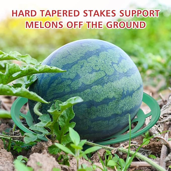 Irenare 24 Pcs Melon Cradle for Garden Watermelon Support Plant Protector for Squash Pumpkin Harvest Basket Watermelon Support Trellis for Cantaloupe Honeydew Strawberry, Reusable Avoid Rot