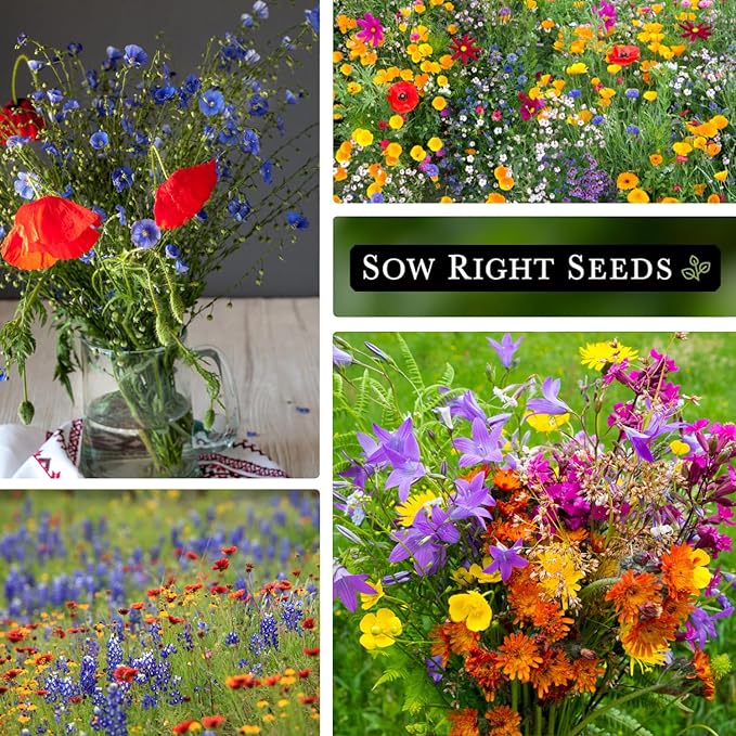 Sow Right Seeds - Wildflowers Seeds Mix for Planting in Southwest - Non-GMO Heirloom Varieties to Grow a Wild Flower Garden - Perennial and Annual Flowers to Attract Pollinators - Colorful Blooms (1)