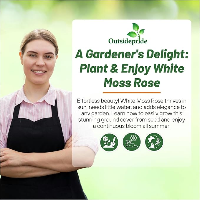 Outsidepride White Moss Rose Seeds - 250 Pcs Annual, Drought & Heat Tolerant, Pollinator Friendly Ground Cover Seeds for Planting w/Vibrant Blooms & Succulent Foliage, Ideal for Xeriscaping