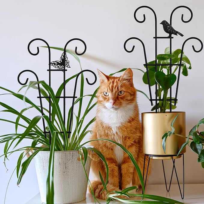 14.17in Indoor Plant Trellis for Potted Plants with Bird, Small Metal Indoor Trellis for Climbing Plants Indoor for Houseplant, Pothos Plant Climber Support for Hoya Vine, 2p