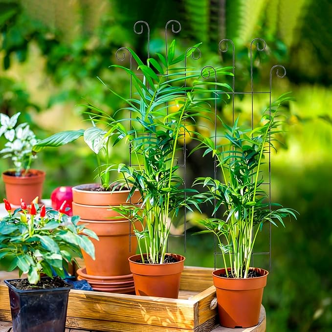 32.6In Metal Plant Trellis for Climbing Plants Indoor, Monstera & Pothos Support Stakes, Tall Expandable Trellis for Potted Plants, Tool-Free Structures, 2 Pack