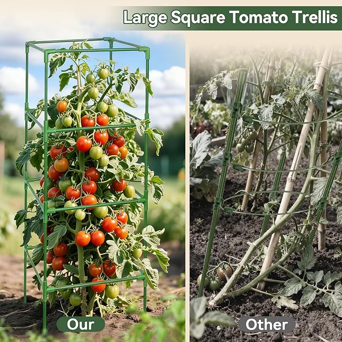 Halatool Square Tomato Cages Heavy Duty,60 Inch Foldable Metal Tomato Trellis,Large Tomato Plant Cage for Climbing Vegetables, Fruits & Flowers for Garden,4 Pack