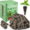 PACETAP 80 Pack Grow Sponges Compatible with AeroGarden, Replacement Refill Grow Sponge for Hydroponic Indoor Garden System
