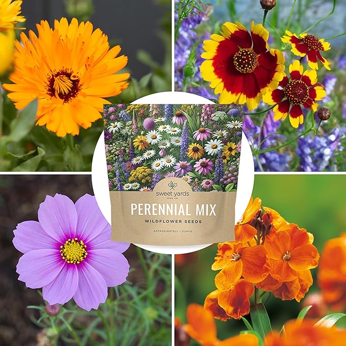 Perennial Wildflower Seeds Mixture - Bulk 1 Ounce Packet - Over 15,000 Pure Live Seed - Open Pollinated and Non GMO…