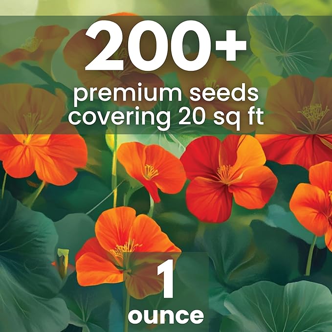 Nasturtium majus - Large 1 Ounce Packet - 200 Flower Seeds for Planting - Tropaeolum majus