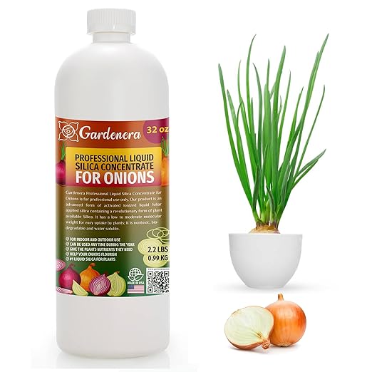 𝐏𝐑𝐎𝐅𝐄𝐒𝐒𝐈𝐎𝐍𝐀𝐋 Liquid Silica Plant Supplement - 32oz - Onions Plants Liquid Silica Boost Fertilizer - Stronger Stems & Healthy Leaves for Indoor & Outdoor Onions Plants (Makes 180 Gallons)