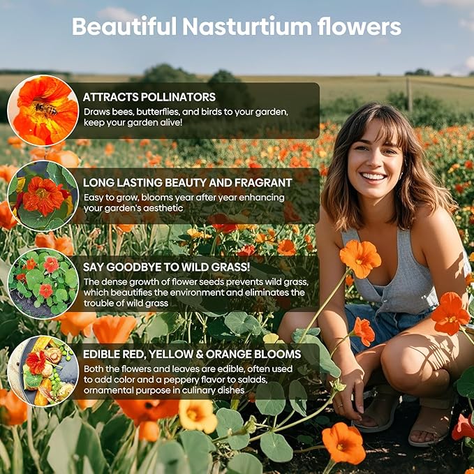 Groundio Nasturtium Seeds, 1 OZ, 3 Colors, Climbing Nasturtium, Edible Flower, Mixed Annual Flower Seeds for Planting Outdoors, Attract Poillinators (Orange, Red, Yellow)