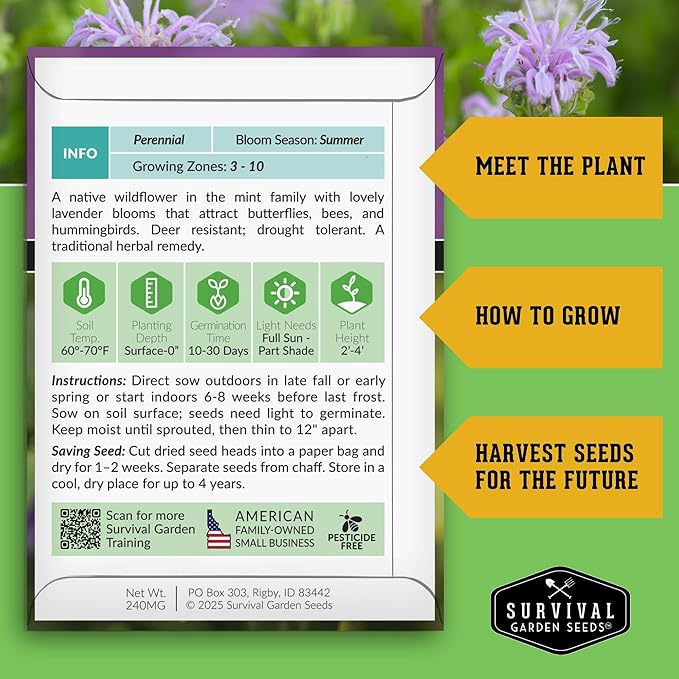 Bee Balm Seeds for Planting - Wild Bergamot (Monarda Fistulosa) Perennial Native Wildflower & Medicinal Herb for Pollinator Gardens, Fragrant Heirloom Flower - Survival Garden Seeds (5 Packs)