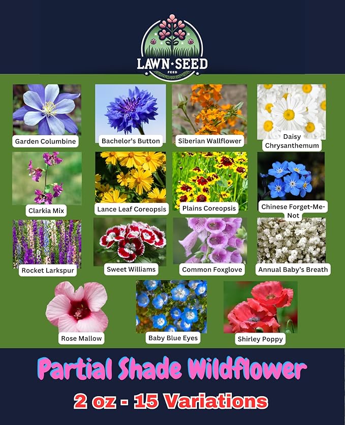 Partial Shade Wildflower Mix (2oz) Sprinkle a Little Magic—Our Shade, Perennial, Hummingbird, Deer-Resistant, and Other mixes Bring Vibrant Color and pollinator Joy to Any Space.