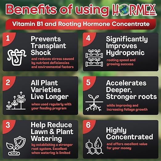 Hormex Liquid Rooting Hormone Concentrate with B1 – Root Growth Stimulator for Strong, Healthy Plants - Prevents Transplant Shock - Houseplants, Gardens, Hydroponics, Trees, Fruits & Vegetables, 16oz