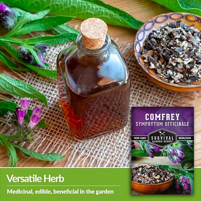 Comfrey Seeds for Planting - Symphytum Officinale Medicinal Perennial Herb for Compost Tea & Natural Skincare - True Slippery Root Non-GMO Heirloom - Survival Garden Seeds (2 Pack)