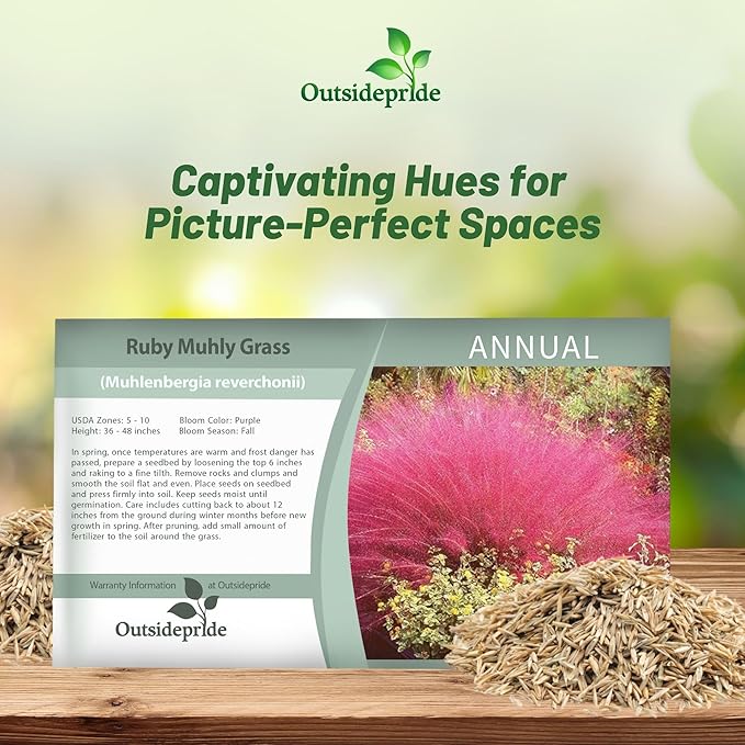 Outsidepride Ruby Muhly Ornamental Grass Seeds - 100 Pcs, Perennial, Drought Tolerant, Low Maintenance, Ornamental Tall Grass Plants, Fast Growing for Landscaping, Outdoor Garden, Privacy Plants