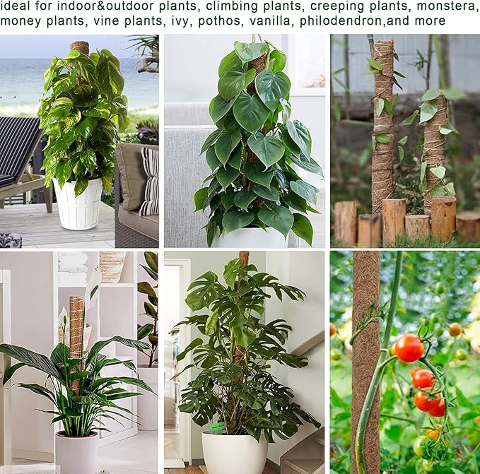 Moss Pole 58.7 Inch - Monstera Plant Support 5 Pack, 17.5" and 12" Plant Stakes for Indoor Plants Coco Coir Moss Pole Sticks for Climbing Potted Live Plants, Pothos, Philodendron