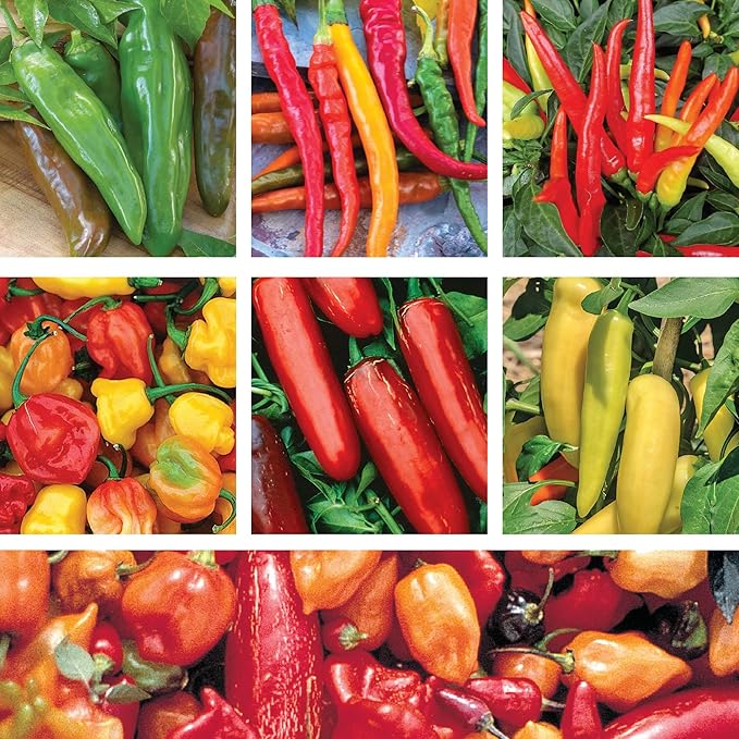 Ferry-Morse Hot Pepper Non-GMO Seed Variety Pack - 7 Pack