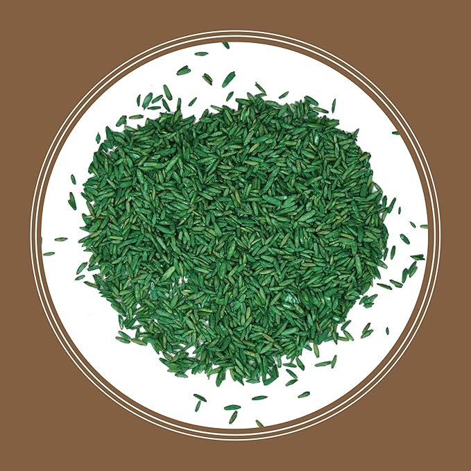 Pennington Bare Spot Repair Penkoted Grass Seed Mixture Central 1 lb (Pack of 2)