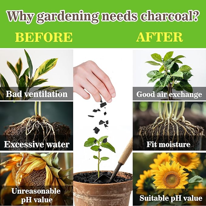 Sukh Horticultural Charcoal for Plants - 1.4Qt. Natural Earth Regulated Supplement for Potting Soil Indoor Plants, Organic Biochar, Succulent Soil, Paphiopedilum, Bonsai, Terrarium