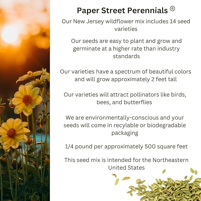 New Jersey Bulk Perennial Wildflower Seed Mix 1lb Covers 2,000sq-ft - Attract Pollinators, Multi-Color Blooms - Northeast US Species Plant in Spring/Fall - Earth-Friendly Packaging (1/4 Pound)