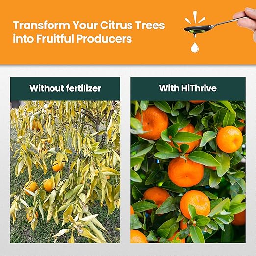 32oz Citrus Fertilizer - Makes 32 Gallons of 2-in-1 Citrus Tree Fertilizer for Lemon Trees Live Plants & More, 4-3-6 NPK Tree Food with Macronutrients + Micronutrients for Growth and Juicy Fruits
