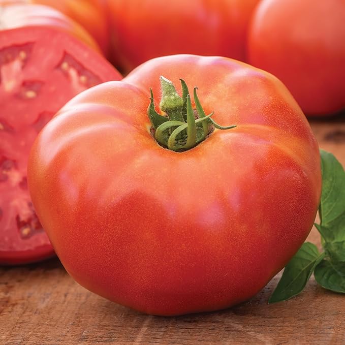 Burpee 'Bodacious Hybrid' Tomato Seeds - Non-GMO, Indeterminate, Disease-Resistant, Slicer Tomato, 45mg Seed Packet for Home Gardening