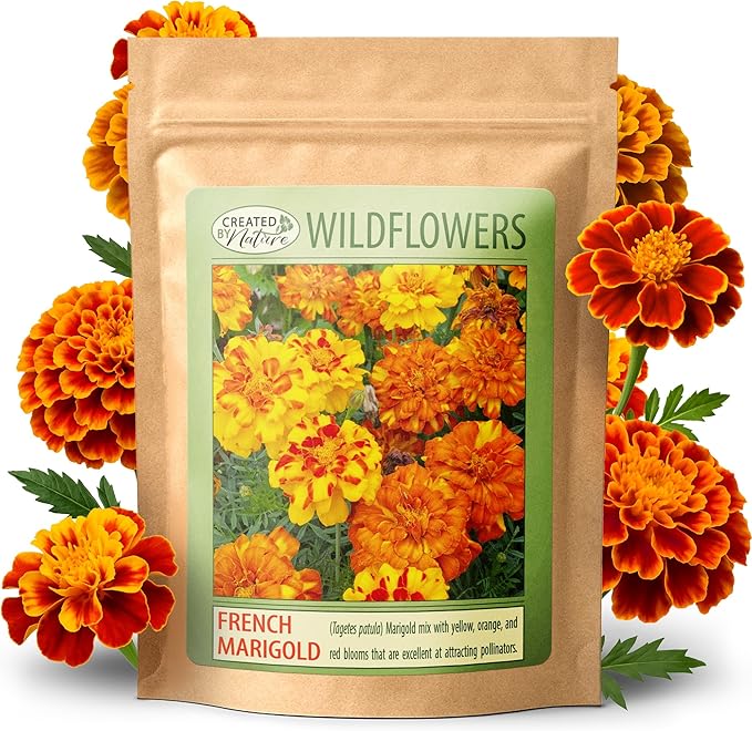 Created by Nature French Marigold Seeds, 2,300 Annual Wildflower Seeds