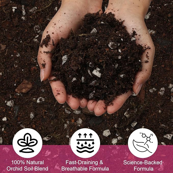 Organic Orchid Potting Mix & Bark Blend 2qt - All Natural, Fast Draining Soil for Phalaenopsis, Dendrobium, Oncidium Plants