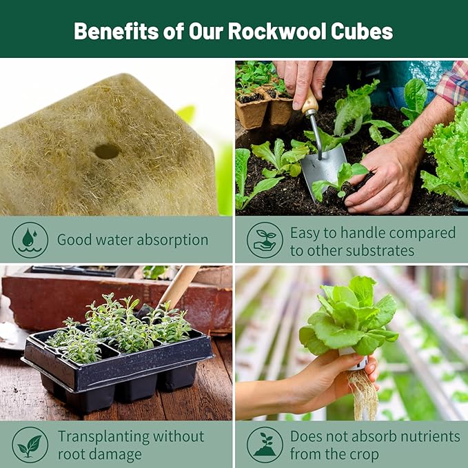 1" Rockwool Cubes for Hydroponics 200 Plugs with 50 Pack 1.5 inch Net Pots Hydroponics Supplies Cups for Rooting, Clone Plants, Starting Seeds, Ideal Rockwool for Hydroponic Growing