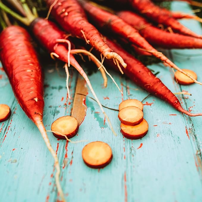 Cosmic Purple Carrot - 150 Seeds - Heirloom & Open-Pollinated Variety, Non-GMO Vegetable Seeds for Planting Indoors or Outdoors in Containers or The Home Garden, Thresh Seed Company