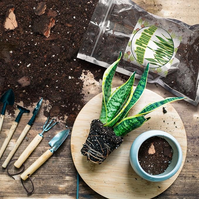 Premium Snake Plant Soil Mix 4qt, Indoor Plants Potting Mix for All Potted Snake Plants, Promote Healthy Growth and Easy Care