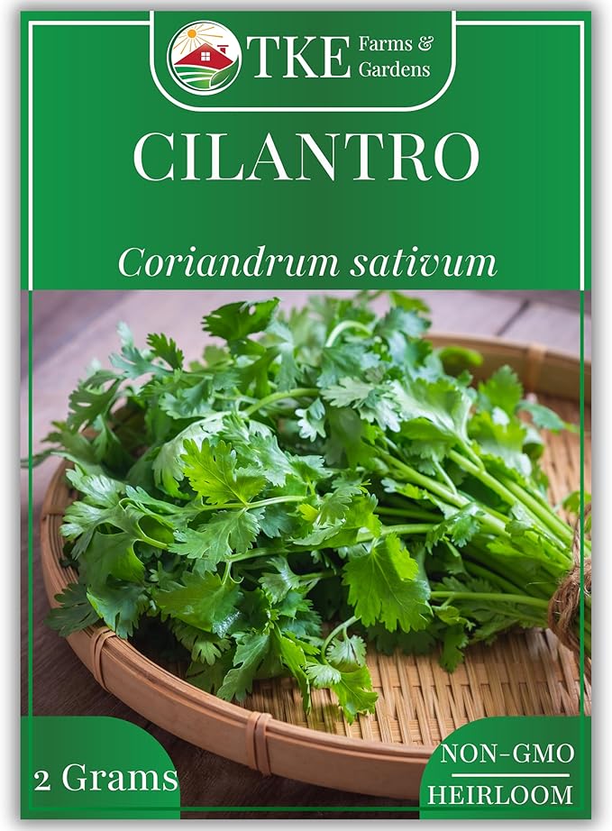 TKE Farms & Gardens - Cilantro Seeds for Planting, 150+ Non-GMO Heirloom Coriander Seeds, Slow Bolt for Long Harvest, Indoor or Outdoor Herb Garden, Easy Growing Instructions Included