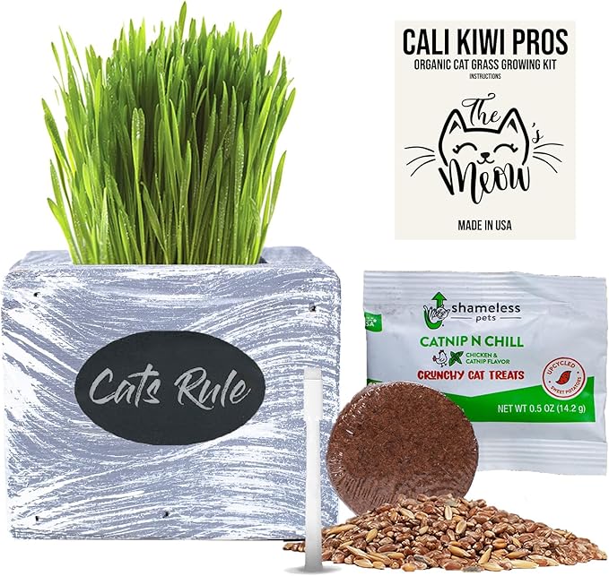 Cali Kiwi Pros Cat Grass for Indoor Cats Kit – Organic Wheatgrass Seed & Soil, Hairball Remedy in Red Cedar Planter, Gift Box with Bonus Label, Pen & 10% Cat Treats Discount (White)