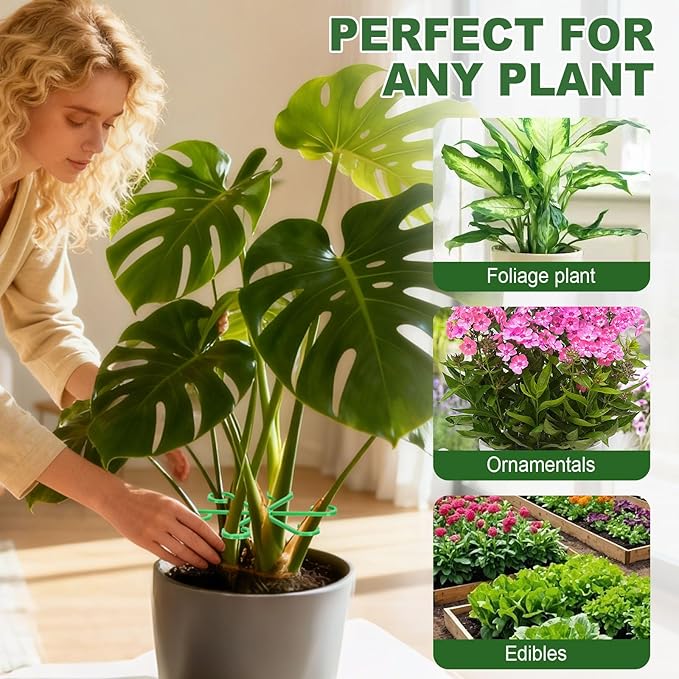 32pcs Plant Stem Support, Plant Support for Indoor Plants, 4 Sizes Climbing Houseplant Stem Holders, Reusable Plant Stabilizer, Indoor Plants Accessories
