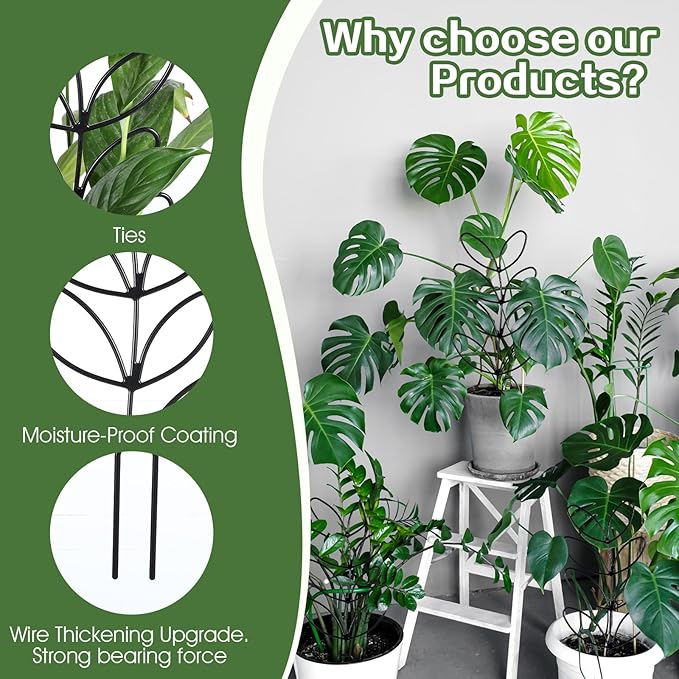4 Pack Small Plant Trellis for Climbing Plants Indoor, 12 inch Plastic Trellis for Potted Plants Houseplant Trelli, Mini Climbing Plant Support for Houseplant Flower Hoya Pothos, Black