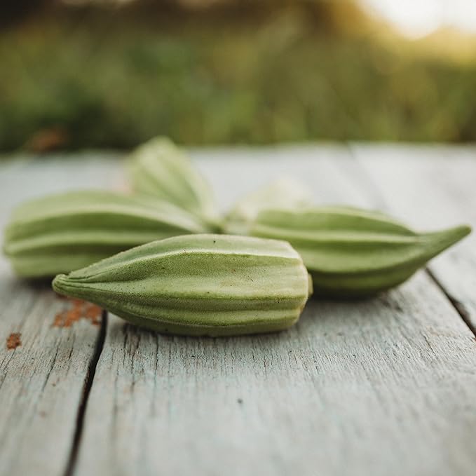 Star of David Okra - 50 Seeds - Tender & Delicious Heirloom Okra Variety, Non-GMO Heirloom Okra Seeds for Planting in The Home Garden, Thresh Seed Company