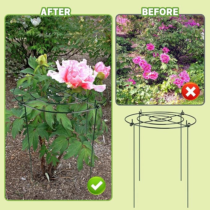 6 Packs Peony Cages and Supports, 11.8" Dx16 H Round Peonies Support Cages, Heavy Duty Flower Support Rings Plant Supports for Outdoor Plants, Plant Cage Ring for Roses, Hydrangeas, Tomatoes