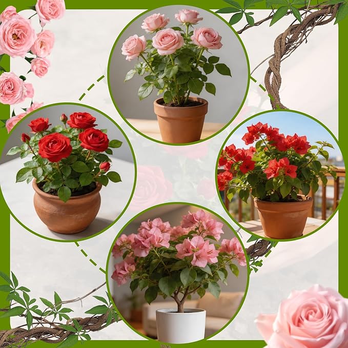 Rose Soil Potting Soil 2qt- Natural Organic Potting Mix for Roses, Superior Drainage & Breathability, Nutrient-Rich Formula to Support Healthy Rose Growth