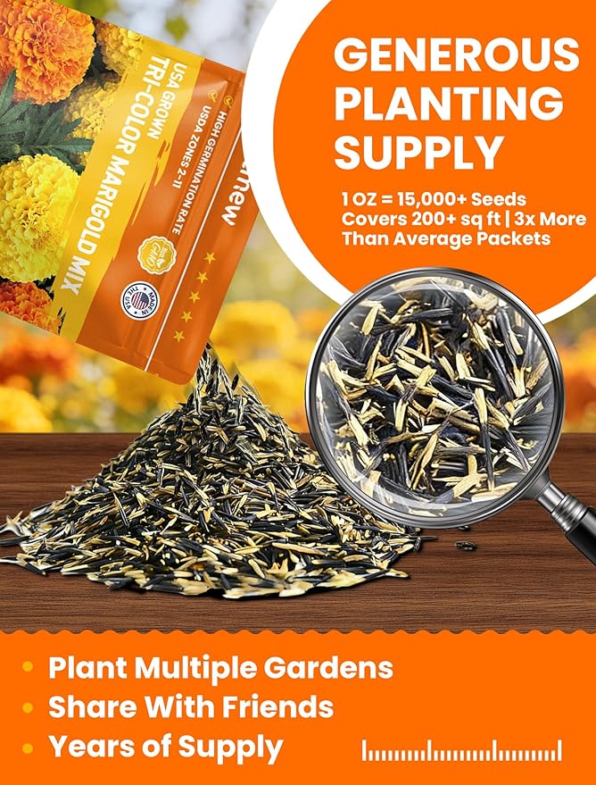 Tri-Color Marigold Seeds for Planting | 15,000+ Heirloom French Marigold Flower Seeds | Non-GMO, High Germination, USA Grown for Outdoor Gardens & Borders