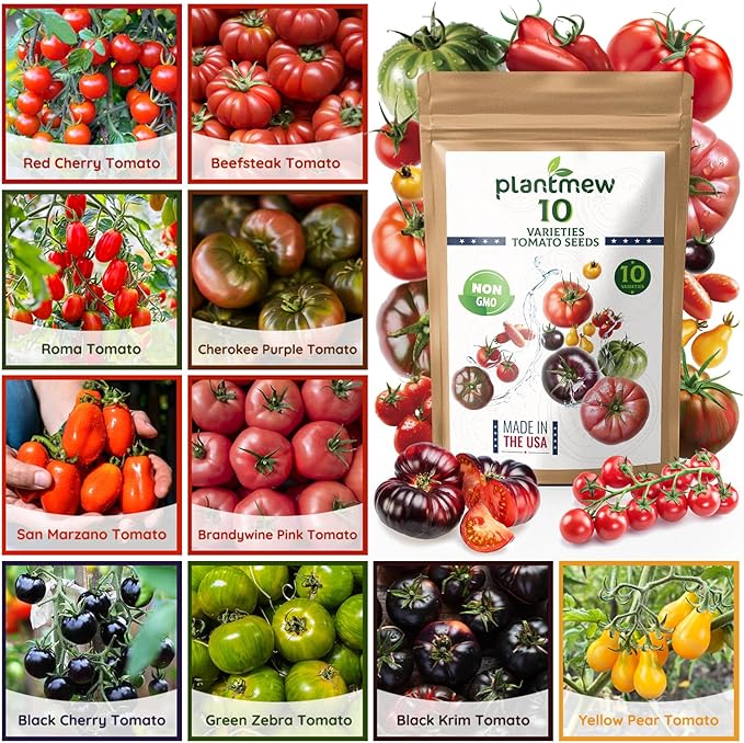 10 Heirloom Tomato Seed Varieties Packet - Non-GMO, Open Pollinated Seeds for Planting Home Garden - Beefsteak, Roma, San Marzano, Cherokee Purple, Cherry Tomatoes & More