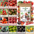 10 Heirloom Tomato Seed Varieties Packet - Non-GMO, Open Pollinated Seeds for Planting Home Garden - Beefsteak, Roma, San Marzano, Cherokee Purple, Cherry Tomatoes & More