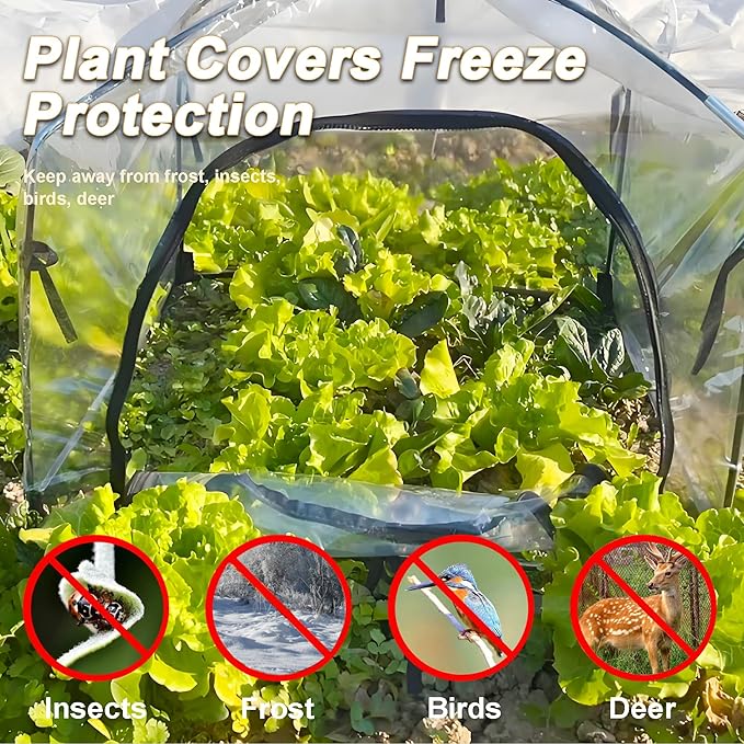 36″*36″*35.5″, Mini Greenhouse Winter Plant Warm Covers - Raised Bed Cover for Seed Starting, Warm Tent Freeze Protection Humidity Domes for Gardening & Winter Shelter and Protecting Plants, 2pcs