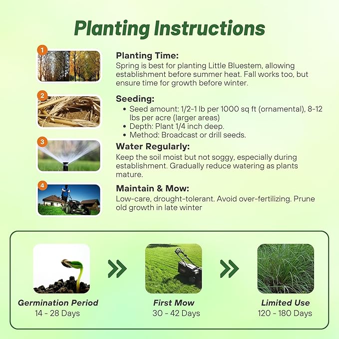 Outsidepride Perennial Little Bluestem Grass Seed - 5 lbs. Warm Season, Drought Resistant, Long-Lived Native Prairie Grass Seed, Ideal for Erosion Control, Ornamental Landscaping & Wildlife Gardens