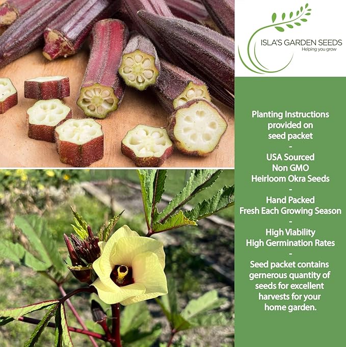 Red Burgundy Okra Seeds for Planting – 100+ Non-GMO & Heirloom Seeds, Abelmoschus esculentus, Tender Red Pods for Frying & Cooking, High Yield Warm-Season Vegetable, by Isla’s Garden Seeds, Gift Idea