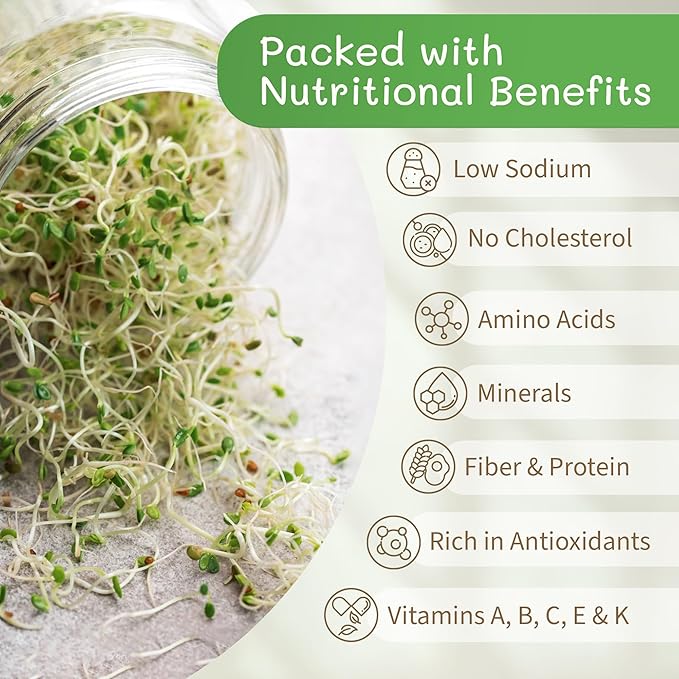 The Sprout House Broccoli Sprouting and Microgreen Seeds - Premium Organic Broccoli Sprouts, Non-GMO, High-Germination, Easy to Grow, Resealable Bag, Sulforaphane Rich Superfood,16oz