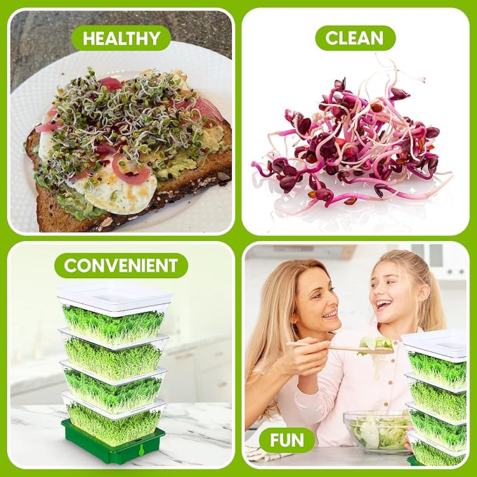 2026 Upgraded 4-Tier Stackable Seed Sprouter with Air Holes & Easy Sink-Draining Spout Tray – Soil-Free Sprouting System for Broccoli, Alfalfa & Bean Sprouts.