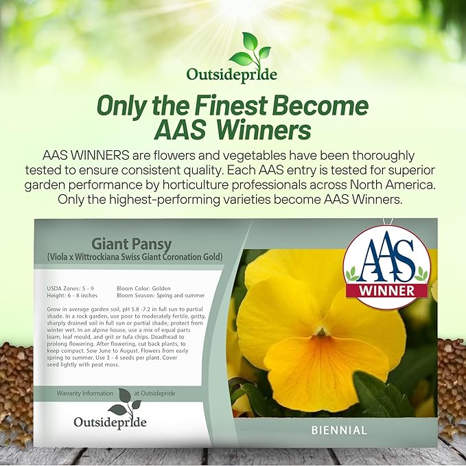 Outsidepride Swiss Giant Coronation Gold Viola Pansy Seeds for Planting - 1000 Pcs Biennial, Cold Hardy Flower Seeds for Containers, Baskets, Borders, & Pollinator-Friendly Gardens (AAS Winner)
