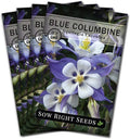 Sow Right Seeds - Blue Columbine Flower Seeds to Plant - Non-GMO Heirloom Packet With Instructions to Plant in Your Garden- Beautiful Perennial Flowers - Attract Hummingbirds, Bees and Butterflies (4)