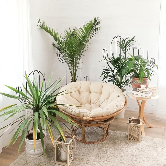 Plant Trellis for Climbing Plants Indoor, Heay Duty Cactus Trellis for Potted Plants, Pothos Hoya Monstera Metal Houseplant Climbing Support for Garden Balcony, 2P