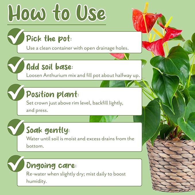 Soil Sunrise Anthurium Plant Potting Soil Mix (8 Quarts) Indoor Houseplant Custom Blend for Flowering Anthuriums