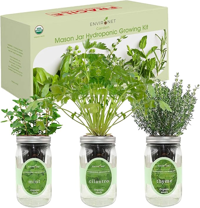 Hydroponic Growing Kit Set, Self-Watering Mason Jar Herb Garden Starter Kit Indoor, Window Herb Garden, Grow Your Own Herbs from Organic Seeds (Mint, Cilantro and Thyme)